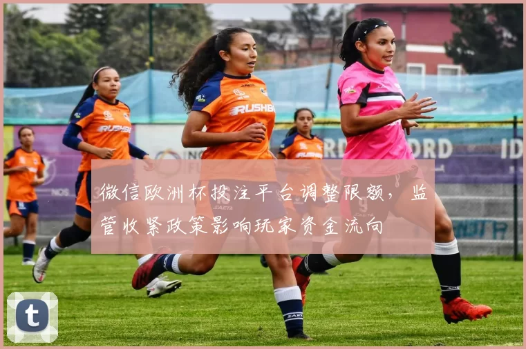 微信欧洲杯投注平台调整限额，监管收紧政策影响玩家资金流向