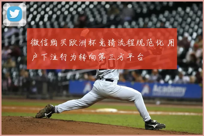 微信购买欧洲杯竞猜流程规范化 用户下注行为转向第三方平台