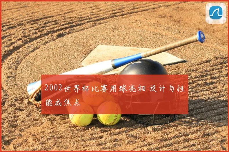 2002世界杯比赛用球亮相 设计与性能成焦点